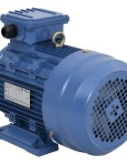 vidaXL 3-fázový elektromotor hliník 4kW/55HP 2-pólový 2840 ot./min