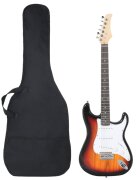 vidaXL Elektrická gitara pre začiatočníka s taškou hnedo-biela 4/4 39"