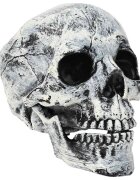vidaXL Halloweenska lebka SPOOKA 2 ks Biela 12 x 15 x 17.5 cm Plast