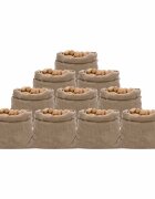 vidaXL Jutové vrecia 10 ks 100x110 cm 100 % juta 220 gsm