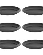 vidaXL Kruhový kvetinový podnos 6 ks Čierna Ø 14 x 2 cm Plast