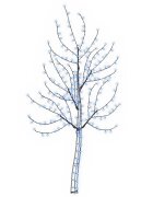 vidaXL LED nástenný vianočný stromček 180 cm 200 LED Modrá Oceľ Čierna