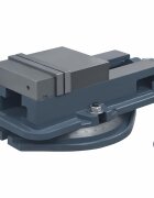 vidaXL Otočný strojový zverák liatina 160 mm