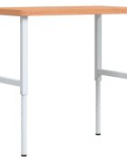 vidaXL Pracovný stôl 100x60x(73-995) cm bukový masív obdĺžnikový