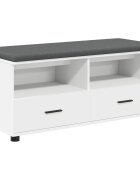 vidaXL Predsieňová lavica Biely 100 x 38 x 46 cm
