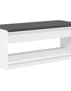 vidaXL Predsieňová lavica Biely 103 x 38 x 45 cm