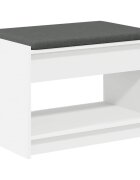 vidaXL Predsieňová lavica Biely 63 x 38 x 45 cm