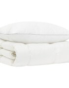vidaXL Súprava paplónu z 90% husacieho peria FULDA 2 ks 135 x 200 cm