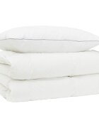 vidaXL Súprava paplónu z 90% husacieho peria FULDA 2 ks 140 x 200 cm