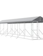 vidaXL Vonkajší koterec pre psov so strechou striebor. 2x14x25m oceľ