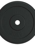 vidaXL Závažie 20 kg liatina