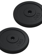 vidaXL Závažie 40 kg liatina