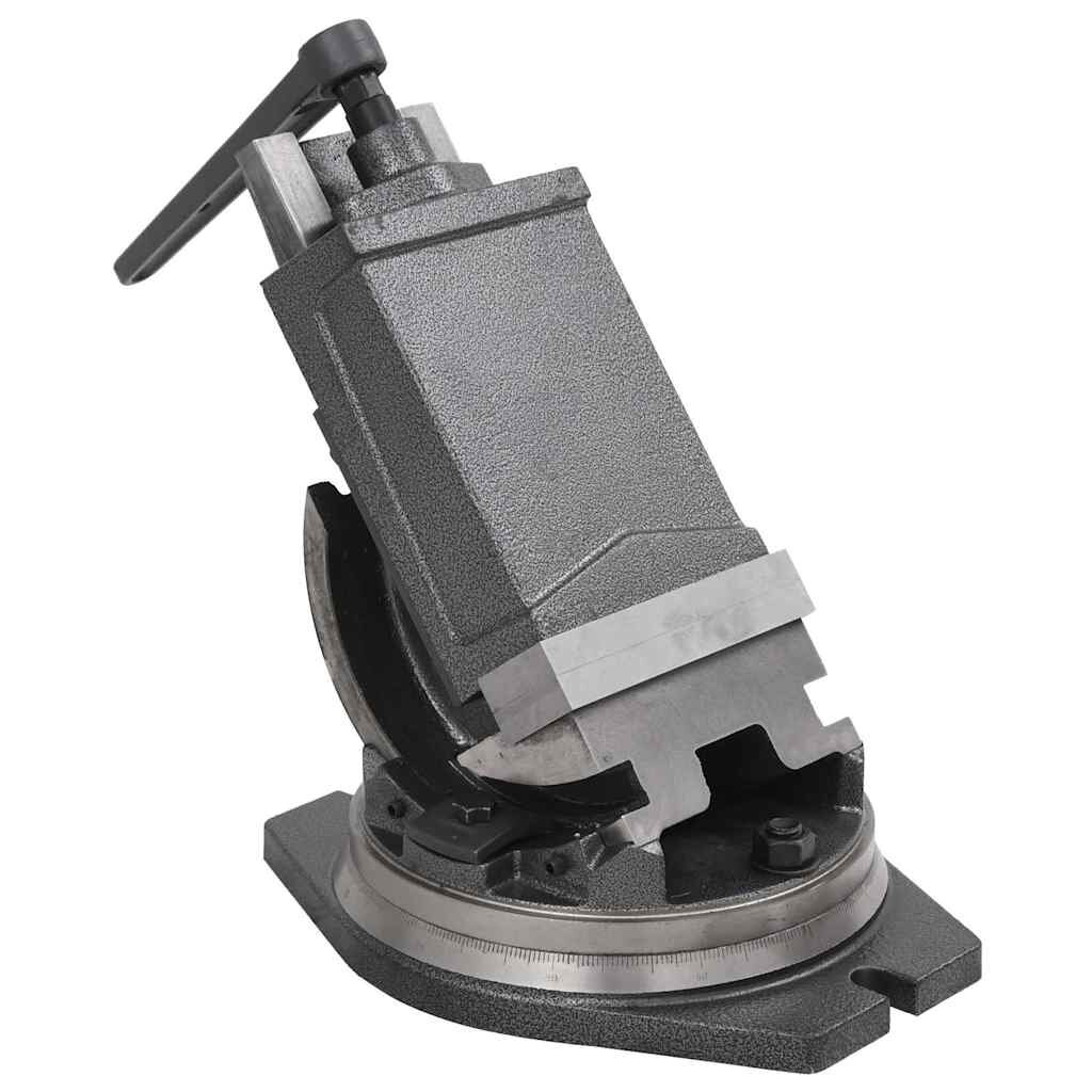 vidaXL 2-osý sklápací zverák 160 mm