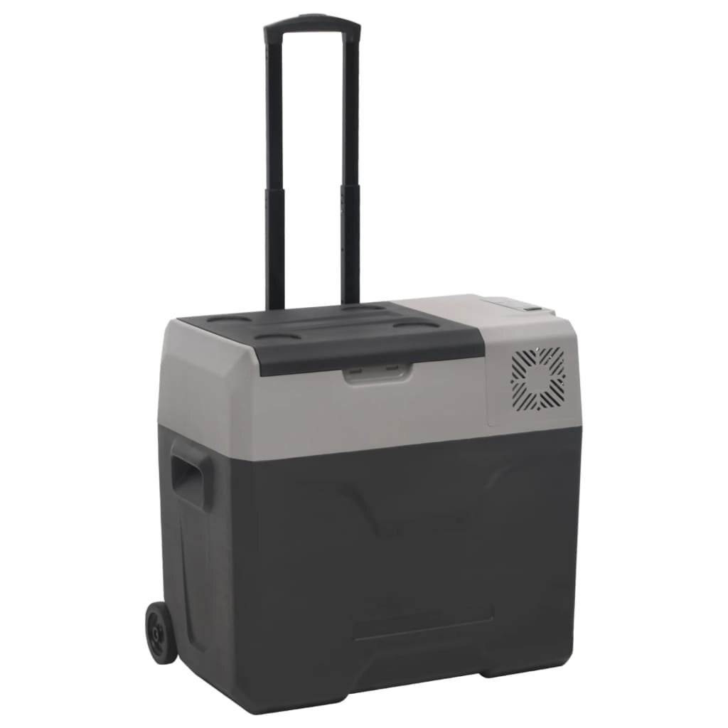 vidaXL Chladiaci box s kolieskom a rukoväťou čierno-sivý 50 l PP