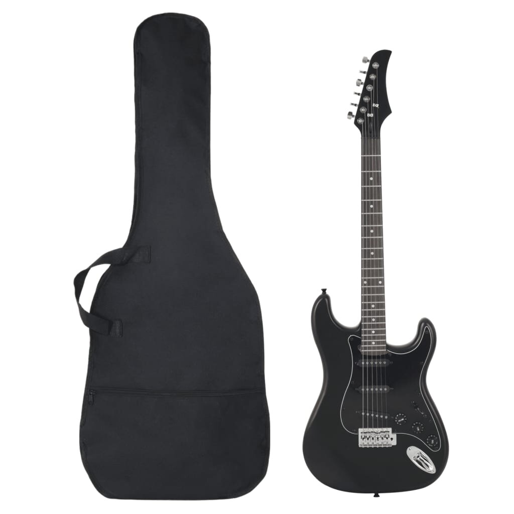 vidaXL Elektrická gitara pre začiatočníka s taškou čierna 4/4 39"
