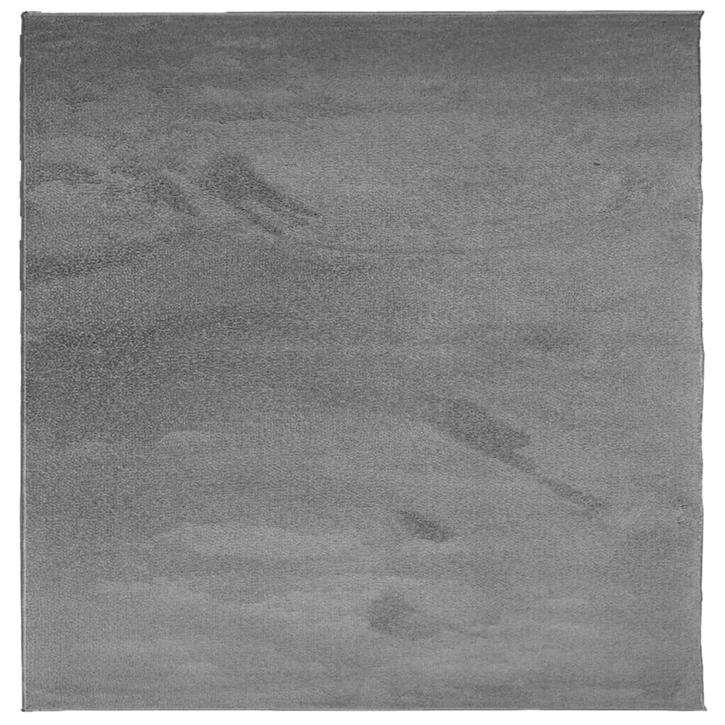 vidaXL Koberec OVIEDO krátky vlas antracitový 120x120 cm