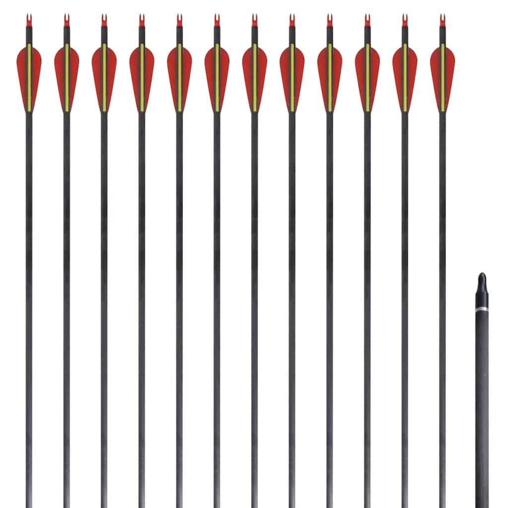 vidaXL Štandardné šípy na reflexný luk 30" 06 cm karbón 12 ks