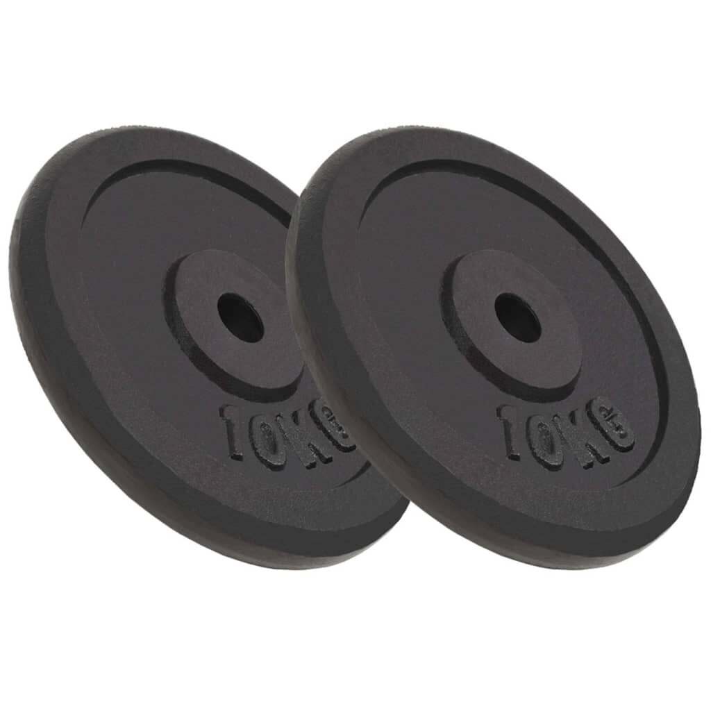 vidaXL Závažia na činky 2 ks 2x10 kg liatina